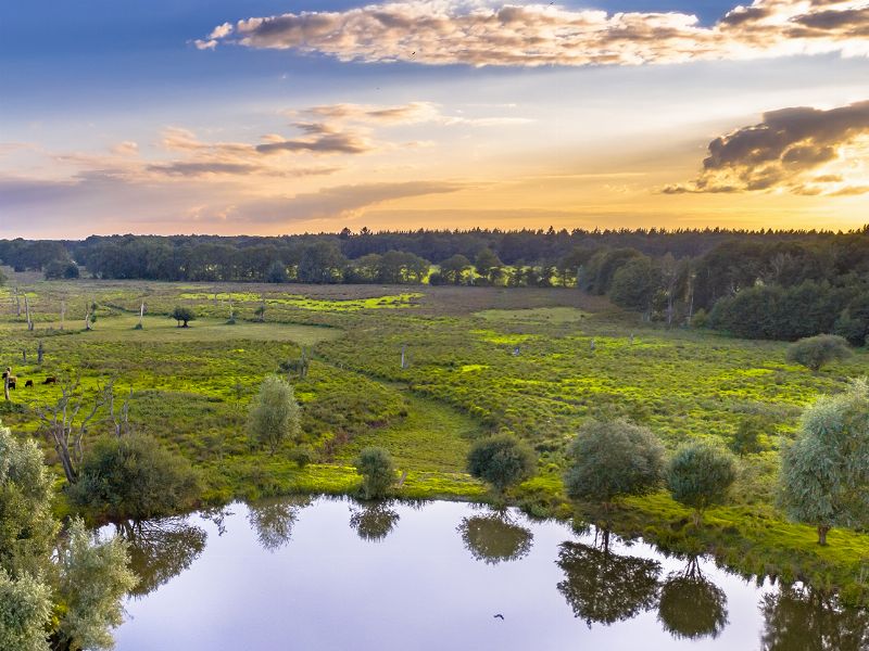 Nationalparks und Natur in Drenthe
