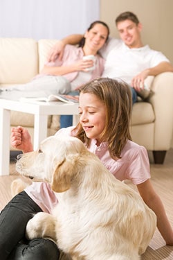 Hund und Kind im Ferienhaus