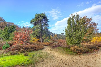 Naturschutzgebiet in Drenthe