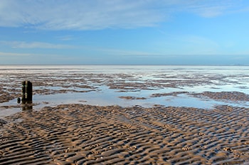 Nordsee Wattenmeer